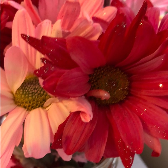 Meet your Posher, Abe - Picture 1 of 1